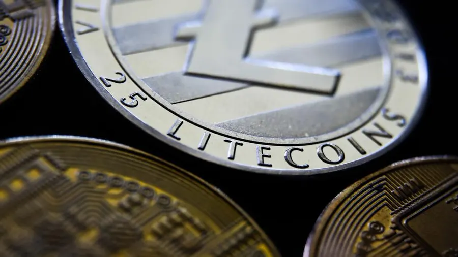 Read more about the article Прогнозы роста Litecoin: как влияние трейдеров изменит стоимость LTC