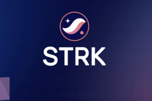 Read more about the article Какие новые технологии поддерживают рост STRK?